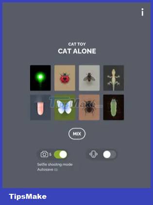 10 games for your cat on your iPad or Android tablet Picture 4