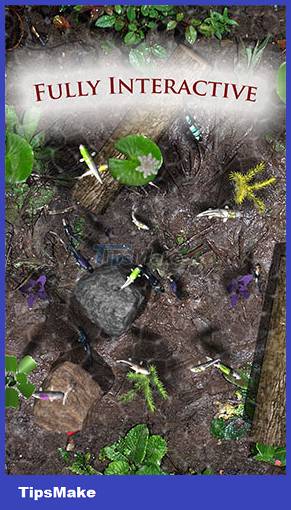 10 games for your cat on your iPad or Android tablet Picture 8