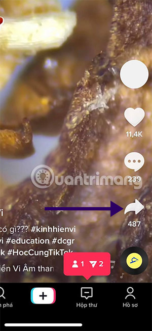 12 ways to download TikTok videos without logo or watermark Picture 44