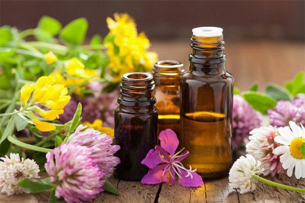 13 effective and safe ways to kill cockroaches using natural methods Picture 4