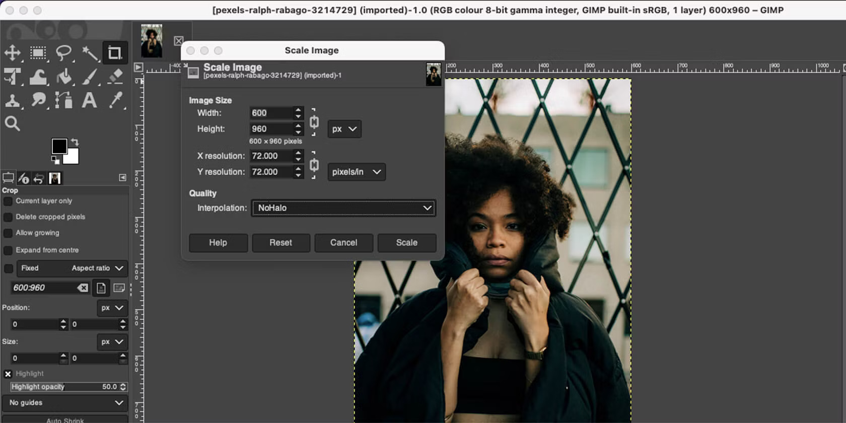 6 tools to enlarge images without losing quality Picture 8