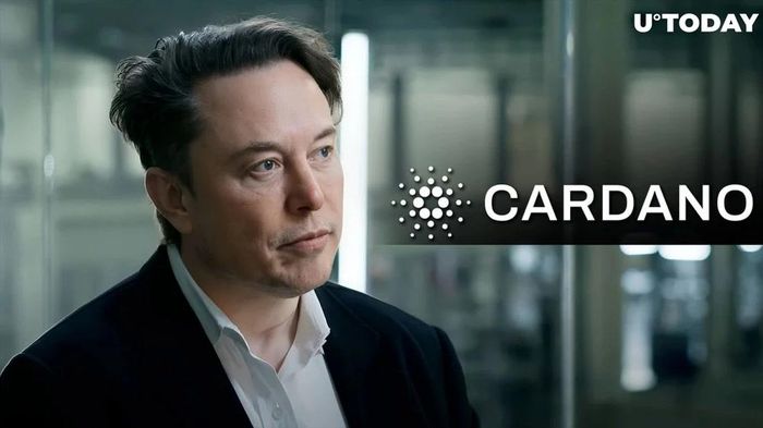 Billionaire Elon Musk is turning his attention to Cardano? Picture 1
