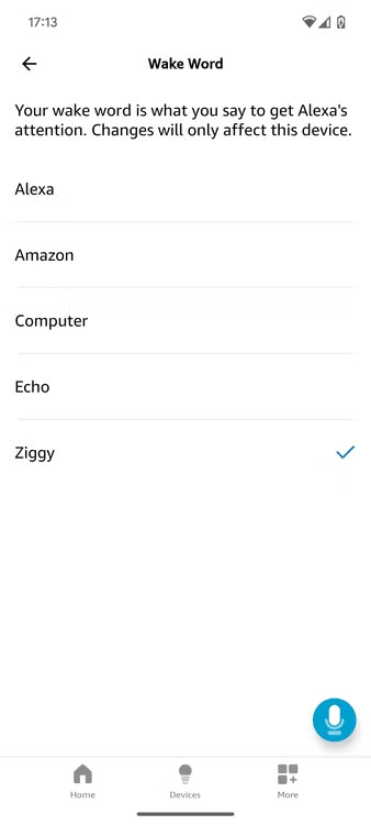 How to change Alexa name or wake word Picture 4