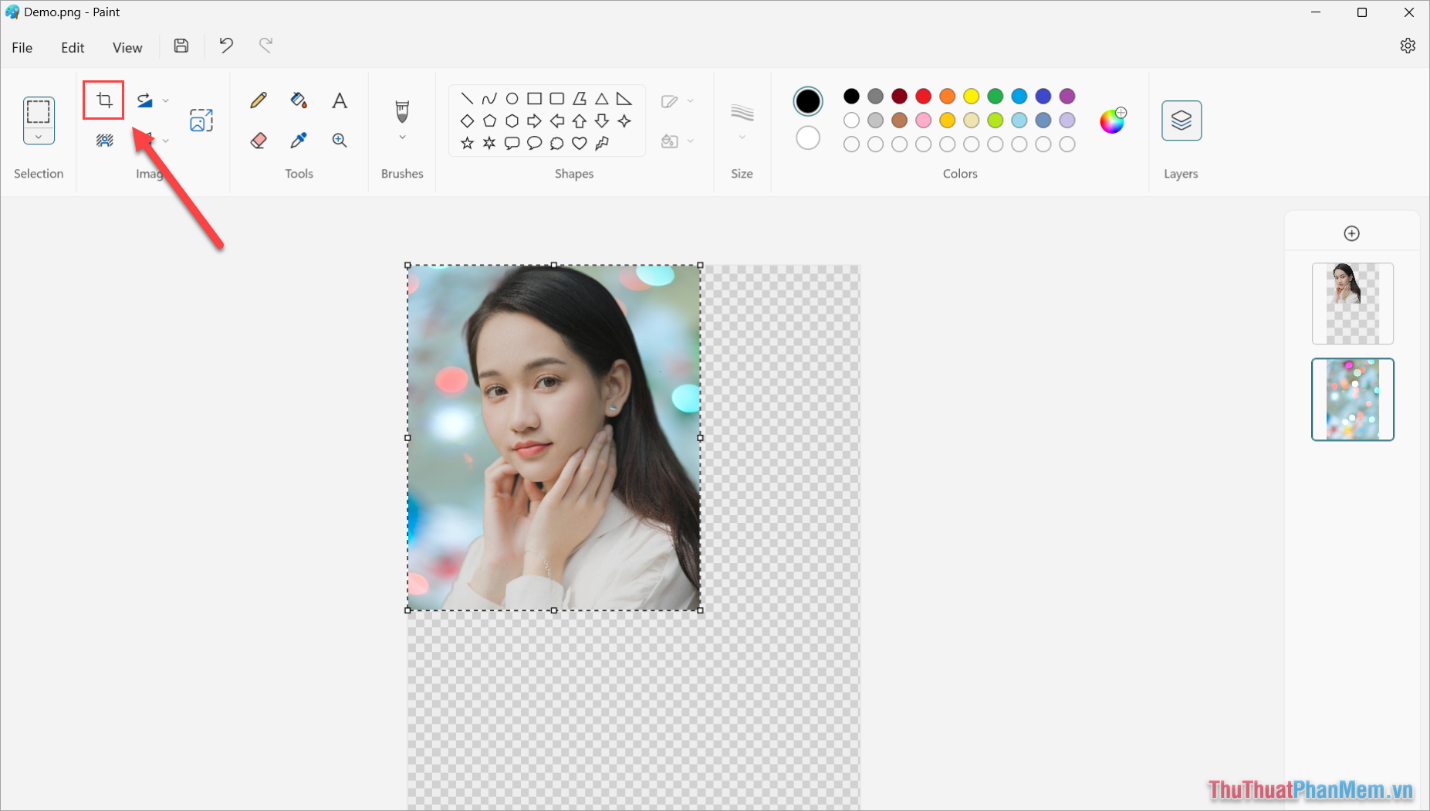 How to combine backgrounds and change image backgrounds with simple Paint Picture 13