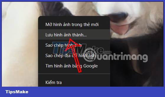 How to create Anime and Disney style AI images on AnimeBuilder Picture 3