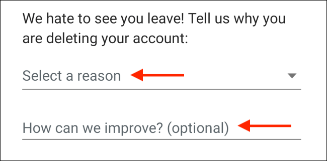 How to delete WhatsApp account - Want to focus time on other things Picture 6