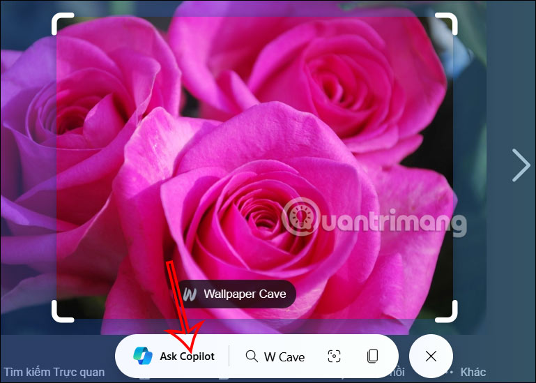 How to enable Circle To Copilot on Microsoft Edge Picture 7