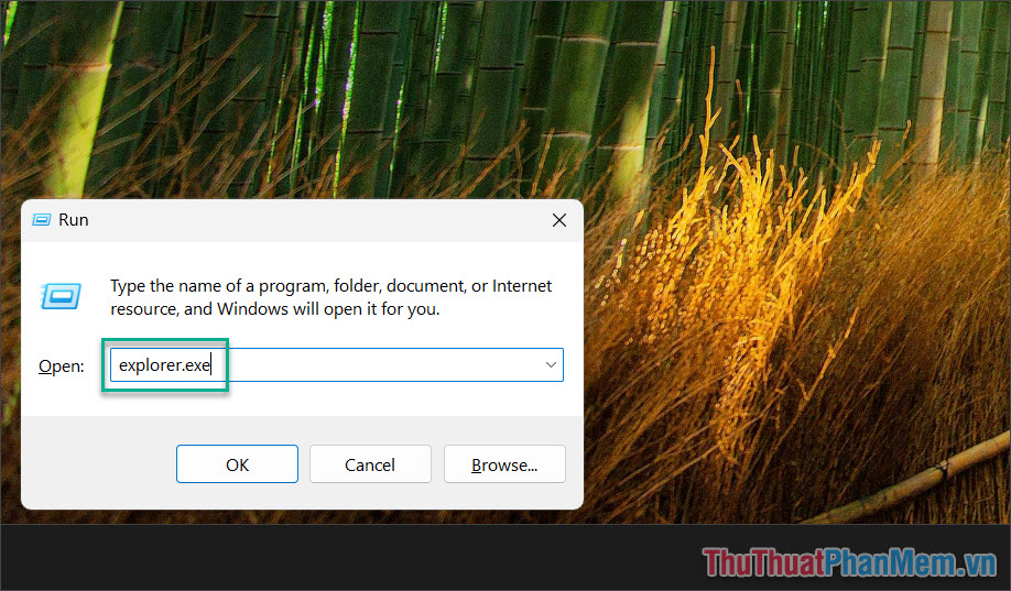 How to fix black screen error on computer, only mouse visible Picture 2