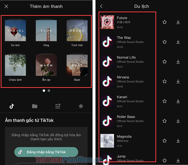 How to insert music into video using Capcut Picture 6