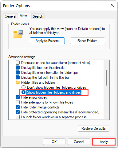 How to show hidden files on Windows 11 Picture 5