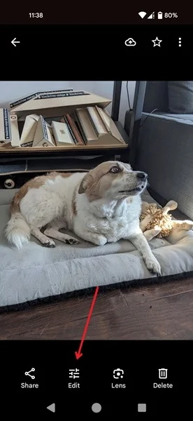 How to take photos with blurred backgrounds using an Android phone Picture 3