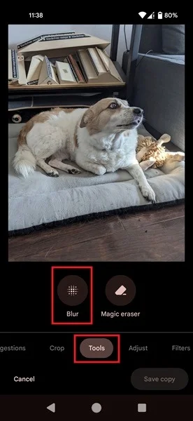 How to take photos with blurred backgrounds using an Android phone Picture 4