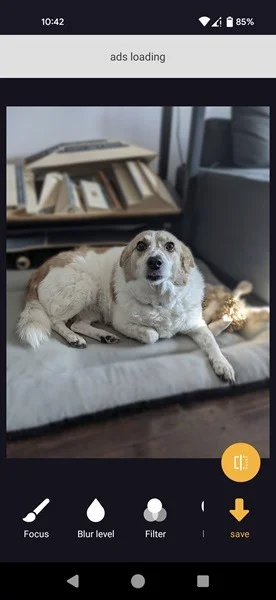 How to take photos with blurred backgrounds using an Android phone Picture 7