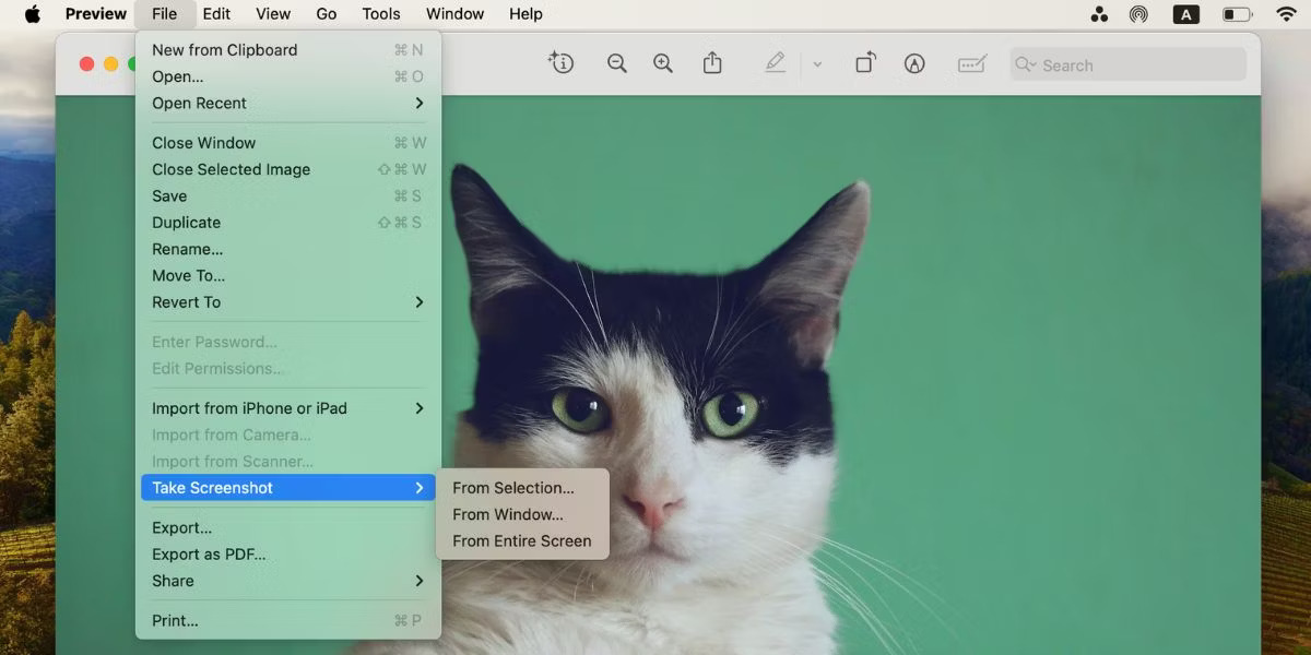 How to take screenshots on Mac Picture 6