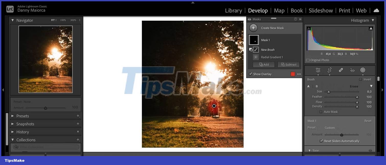 How to use the Radial Gradient filter in Lightroom Picture 6
