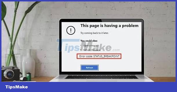 Instructions for fixing STATUS_BREAKPOINT error on Chrome Picture 1