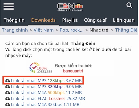 Instructions on how to download music to iPhone library without iTunes? Picture 11