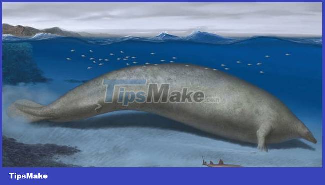 Record-setting scientific discoveries in 2023 Picture 5