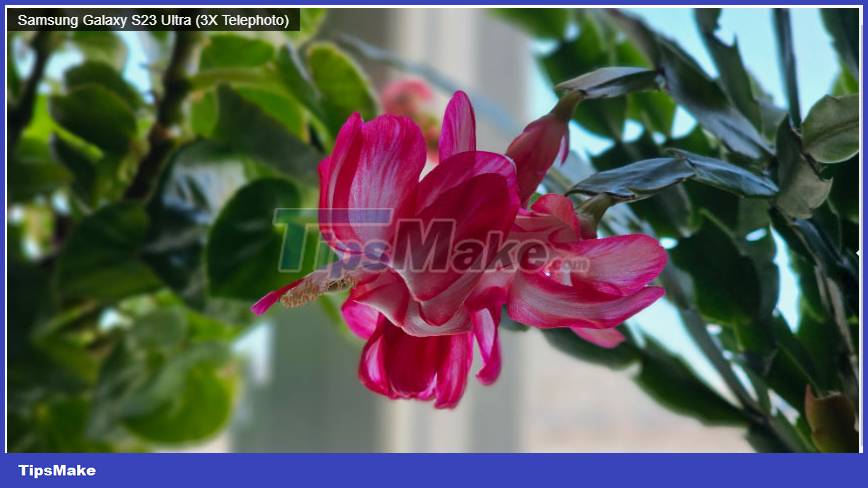 Review of Galaxy S23 Ultra: The latest Samsung flagship today Picture 5