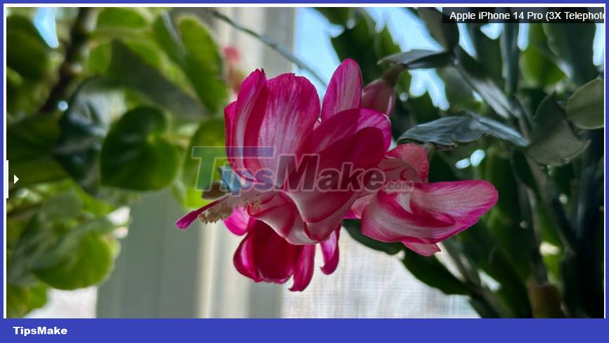 Review of Galaxy S23 Ultra: The latest Samsung flagship today Picture 6