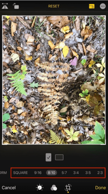 Share How to Set iPhone Wallpaper without Zooming Picture 3