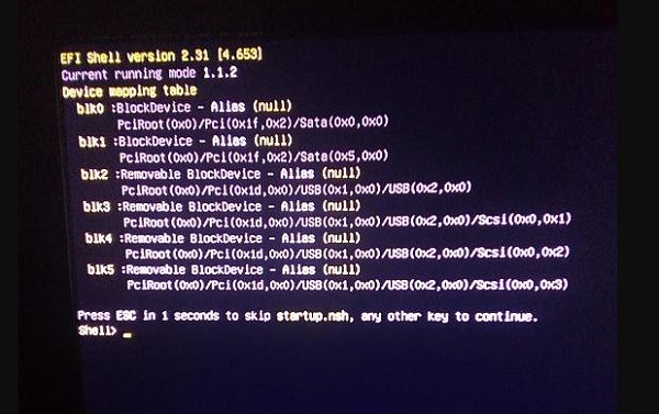 Suggested solution when the computer reports an EFI Shell version error Picture 1