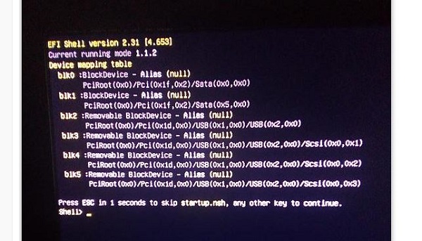 Suggested solution when the computer reports an EFI Shell version error Picture 2