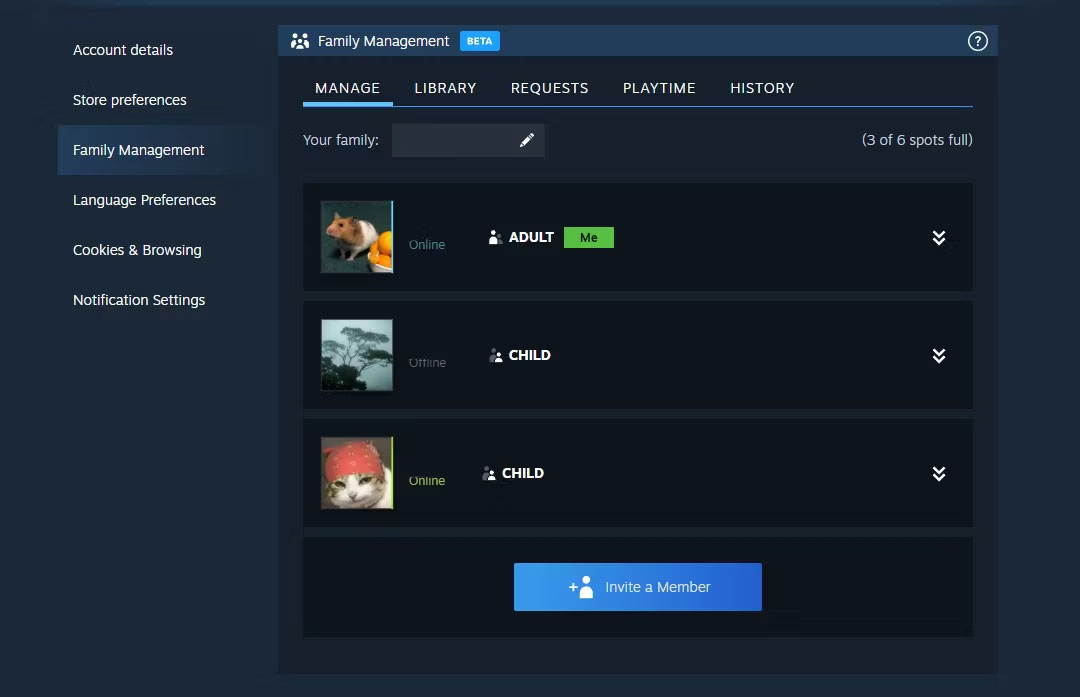 Valve updated the Steam Family Sharing feature for the first time in 10 years Picture 1