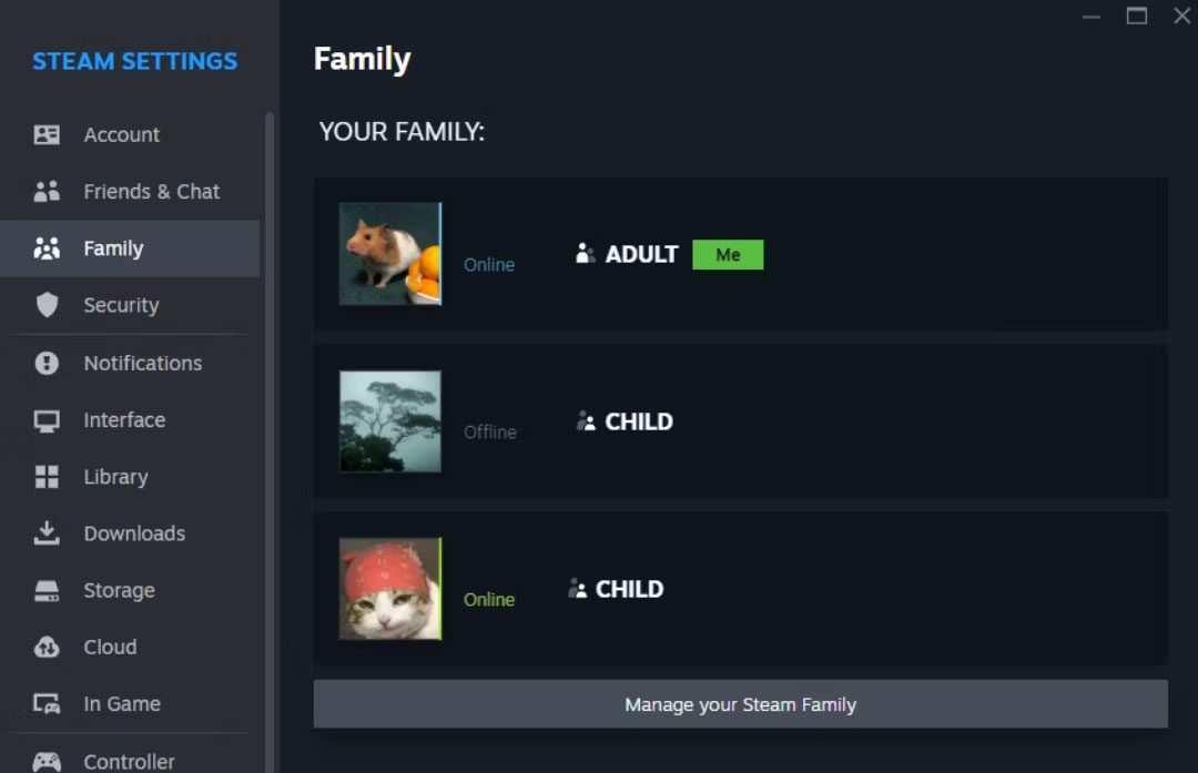 Valve updated the Steam Family Sharing feature for the first time in 10 years Picture 3