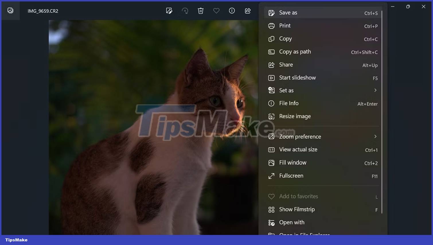 What are TIFF files? Picture 6