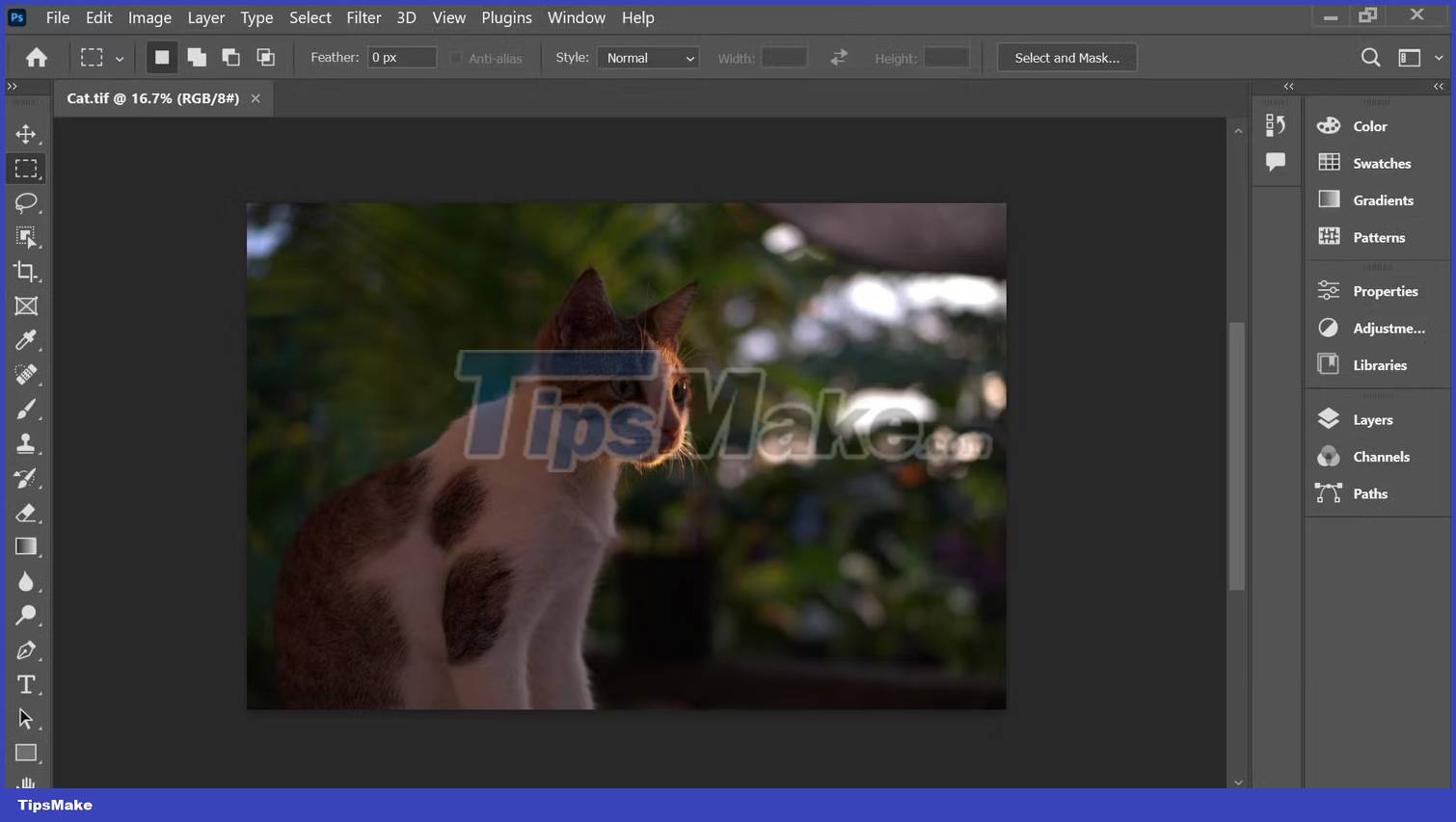 What are TIFF files? Picture 7