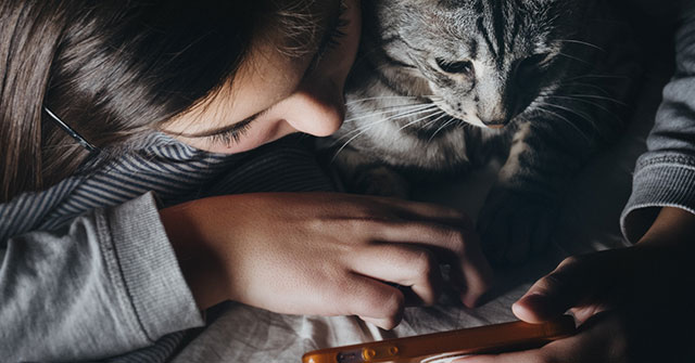 10 Games for Your Cat on Your iPad or Android Tablet: Expert Selection Guide