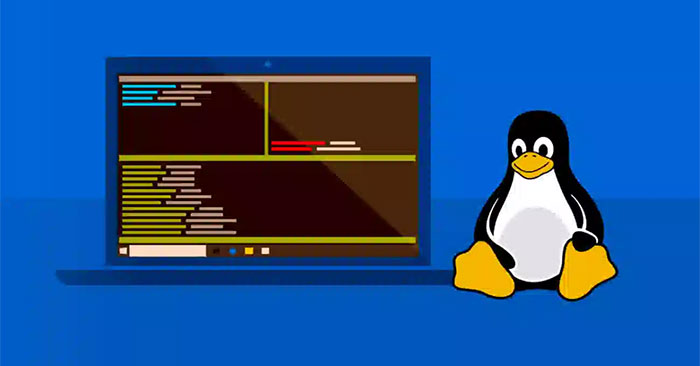 4.05% of Global Computers Are Using Linux: Main Insights