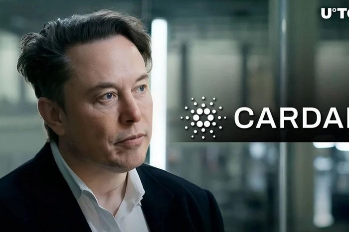 Billionaire Elon Musk is turning his attention to Cardano?