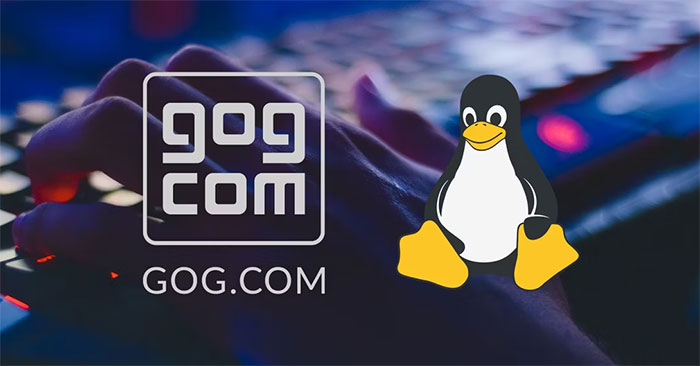 How To Install And Play GOG Game On Linux - TipsMake.com