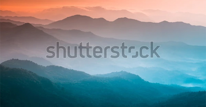 Instructions for Using Shutterstock to Edit Photos Online: What to Know