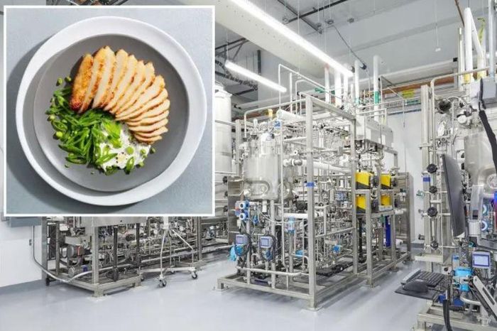 Photo of Many US states have proposed laws banning lab-grown meat