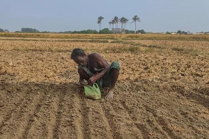 The village has not had a single wedding for more than 10 years: Crops fail, young people cannot marry, the elderly are left behind in the countryside... just because of this!