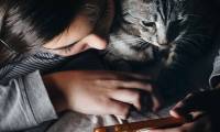 10 games for your cat on your iPad or Android tablet