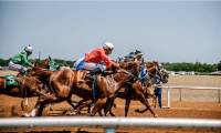 An Insight into the Technological Advancements in Horse Racing