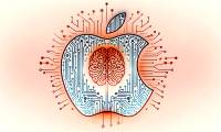 Apple has a deal with Shutterstock to license images for AI training