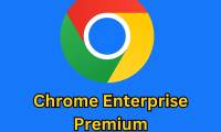 Chrome Enterprise Premium: New version costs 6 USD/month