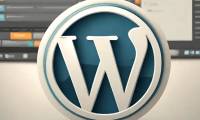 How to create WordPress custom fields to add metadata