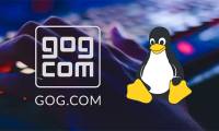 How to install and play GOG game on Linux