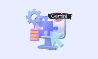 Instructions for using the Gemini utility