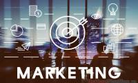 Top 10 most effective Marketing Tool software 2024