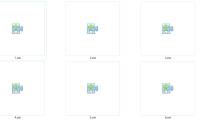What are OXT files?
