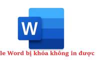 Word File Is Locked And Cannot Be Printed, What Should You Do?