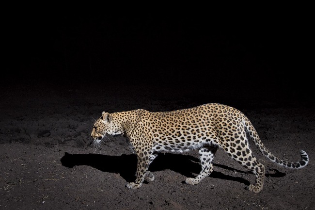 10 AI Applications Shaping the Future Picture 1