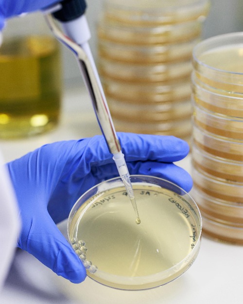 10 AI Applications Shaping the Future Picture 2